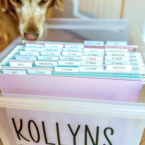 Milestone Tote Folder Labels | Baby Shower Newborn Gift | Kids File Box | Instant Download