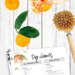 May include: A printable sheet with instructions for making two DIY cleaners: All-Purpose Citrus and Grout Secret. The sheet features a watercolor illustration of oranges and leaves.