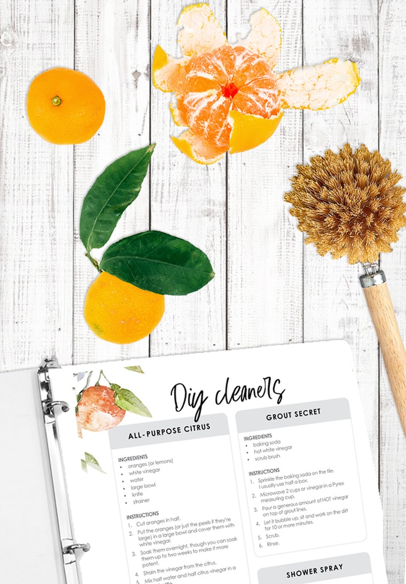 May include: A printable sheet with instructions for making two DIY cleaners: All-Purpose Citrus and Grout Secret. The sheet features a watercolor illustration of oranges and leaves.