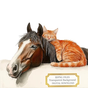 Orange Cat Napping on Horse PNG Clipart Bundle- Digital Download
