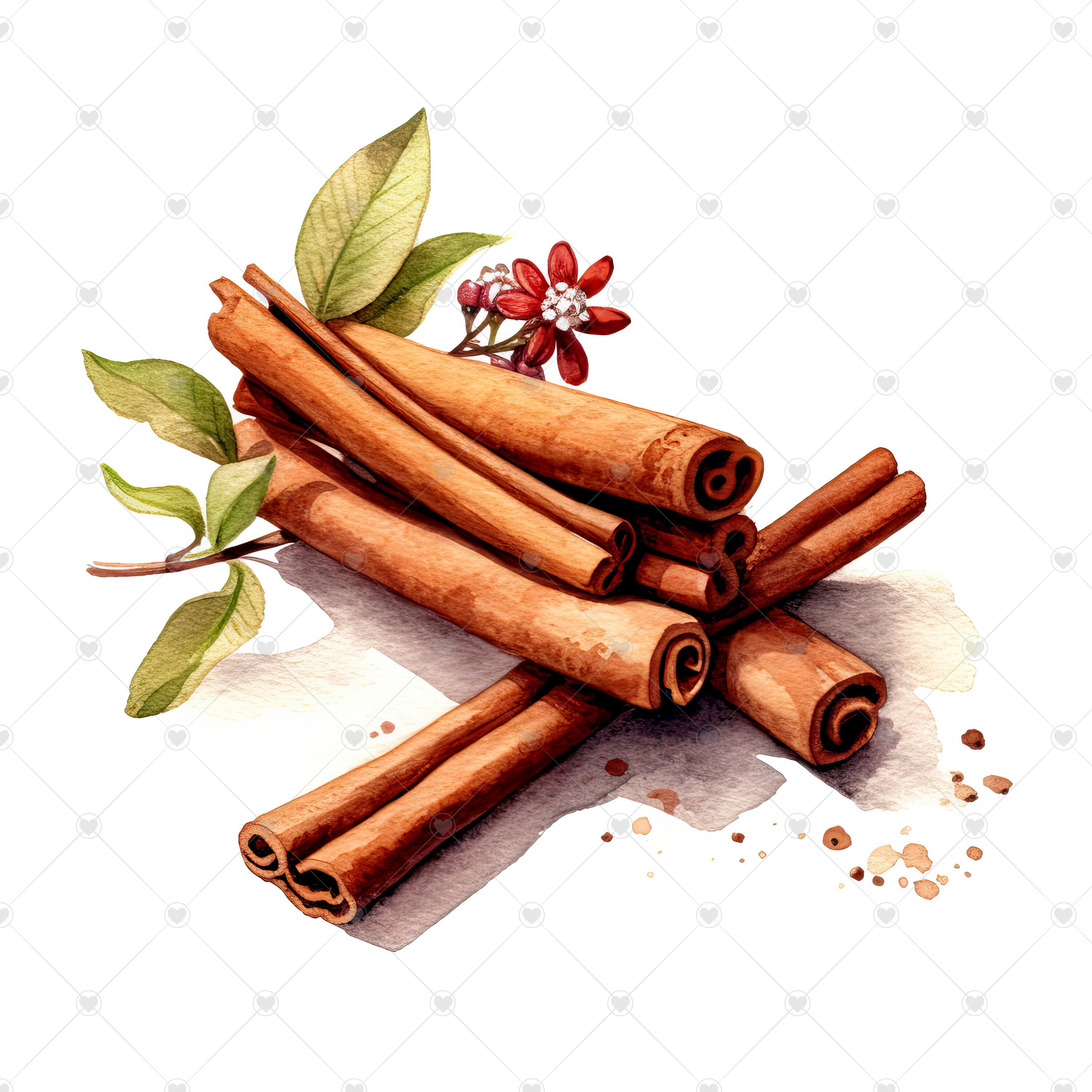 Cinnamon Sticks Clipart Bundle 10 High Quality Watercolor Etsy