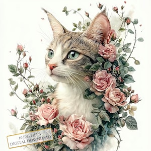 Lot de 10 cliparts chat orné de roses roses - 10 fichiers JPG aquarelles de haute qualité - créations, création d'un journal, fourniture de scrapbooking, téléchargement numérique