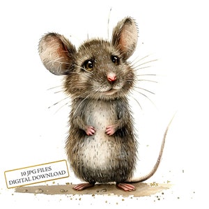 Bundle de cliparts adorable souris curieuse - 10 JPG aquarelles de haute qualité - art animalier, artisanat, journalisation, fourniture de scrapbooking, téléchargement numérique