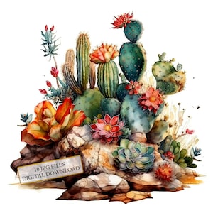 Paquete de imágenes prediseñadas de cactus que crecen en las rocas: 10 imágenes en acuarela de alta calidad (JPG) - Western, Desert, Journal, Scrapbook, Descarga digital