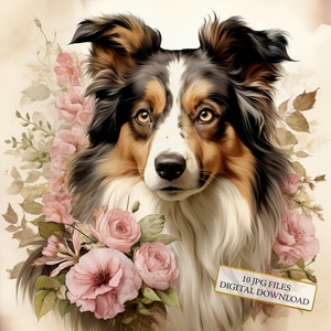 Paquete de imágenes prediseñadas de pastor australiano con flores y estilo shabby chic: 10 archivos JPG en acuarela de alta calidad. Material para diario, álbumes de recortes y descarga digital.