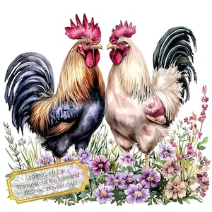Twee hanen onder paarse bloemen clipartbundel-10 hoge kwaliteit aquarel png's-craft, journaling, scrapbook levering, digitale download