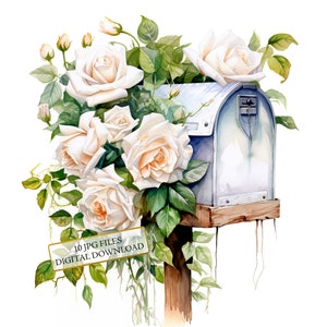 Cassetta postale con rose bianche Clipart Bundle- 10 JPG acquerelli di alta qualità- Artigianato, Junk Journaling, Scrapbook, Download digitale