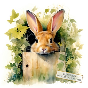 Coelho adorável espiando por trás de uma cerca Clipart Bundle- 10 JPGs aquarela de alta qualidade- Animal, diário, álbum de recortes, download digital