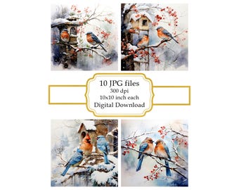 Birds Cozied Up During Snowstorm JPG Clipart Bundle- Digital Download