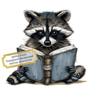 Petit raton laveur lisant un livre Clipart Bundle - 10 PNG aquarelles de haute qualité - chambre d'enfant, journalisation, fournitures de scrapbooking, téléchargement numérique