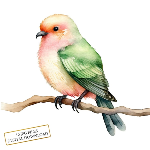 Pink Sage Bird on a Branch Clipart Bundle- 10 High Quality Watercolor JPGs- Crafting, Junk Journaling, Scrapbook, Digital Download