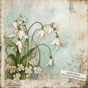 Shabby Chic Snowdrop Aged Paper Clipart Bundle- 10 High Quality Watercolor JPGs- Decoupage, Journaling, Scrapbook, Digital Download