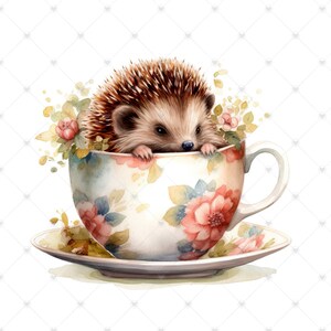 Cute Hedgehog in a Teacup Clipart Bundle- 10 High Quality Watercolor ...