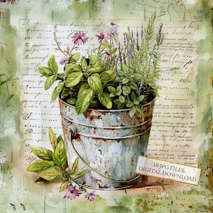 Shabby Chic Bucket of Kitchen Herbs Clipart Bundle - 10 JPG ad acquerello di alta qualità - Artigianato, diario, forniture per album, download digitale