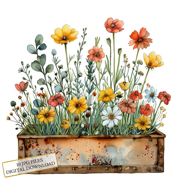 Spring Flowers in Rustic Rusty Box Clipart Bundle- 10 High Quality Watercolor JPGs- Garden, Journaling, Scrapbook, Digital Download