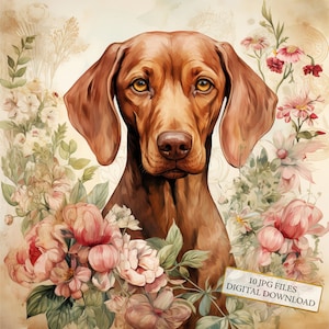 Shabby Chic Vizsla with Flowers Clipart Bundle- 10 High Quality Watercolor JPGs- Dog Art, Journaling, Scrapbook Supply, Digital Download
