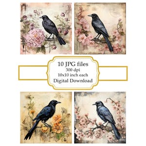 Shabby Chic Crow with Flowers Page JPG Clipart Bundle- Digital Download
