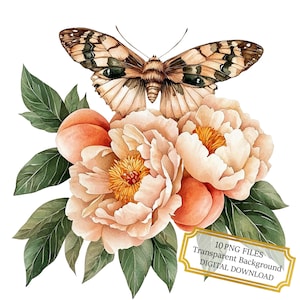 Motte auf Pfingstrosen und Pfirsiche Clipart Bundle - 10 hochwertige Aquarell PNGs - Basteln, Journaling, Scrapbook Versorgung, digitaler Download