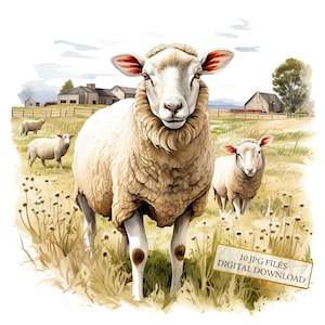 Schaf auf dem Bauernhof Clipart Bundle - 10 hochwertige Aquarell JPGs - Tierkunst, Basteln, Junk Journaling, Scrapbook Versorgung, digitaler Download