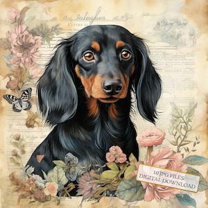Shabby Chic Dachshund z kwiatami Clipart Bundle- 10 wysokiej jakości akwareli JPG- Dziennik, materiały do scrapbookingu, pobieranie cyfrowe
