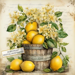 Pacote de clipart de balde floral chique e surrado de limões - 10 JPGs de aquarela de alta qualidade - artesanato, diário de lixo, álbum de recortes, download digital