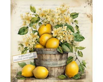 Shabby Chic Floral Bucket of Lemons JPG Clipart Bundle- Digital Download