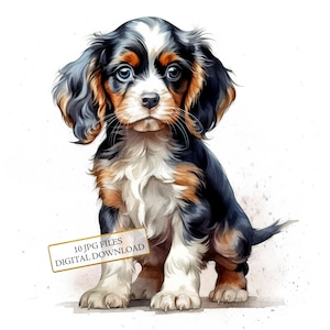 Paquete de imágenes prediseñadas de cachorros Cavalier King Charles Spaniel: 10 archivos JPG de acuarela de alta calidad. Arte para mascotas, diario, álbum de recortes y descarga digital.