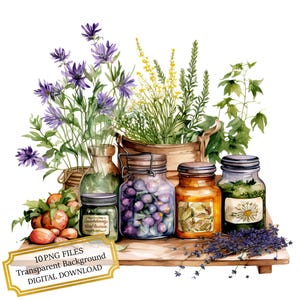 Pacote de clipart de ervas em potes para cozinha - 10 PNGs de aquarela de alta qualidade - Arte culinária, diário, álbum de recortes, download digital