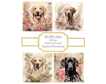 Shabby Chic Labrador Retriever with Flowers JPG Clipart Bundle- Digital Download