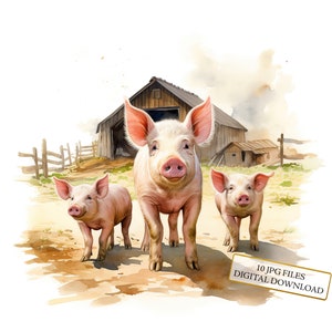 Paquete de imágenes prediseñadas de adorables cerdos en la granja: 10 imágenes en acuarela de alta calidad (JPG). Arte animal, diario, álbum de recortes, descarga digital.
