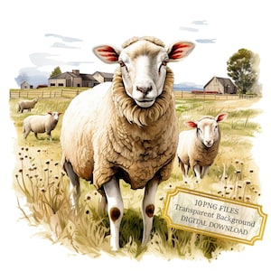 Sheep on Farm PNG Clipart Bundle- Digital Download