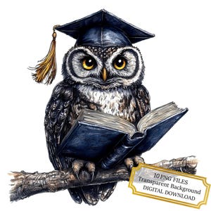 Graduation Owl PNG Clipart Bundle- Digital Download