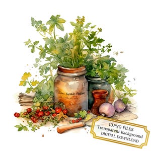 Kitchen Herbs PNG Clipart Bundle- Digital Download