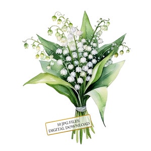 Bundle de cliparts bouquet de muguet - 10 JPG aquarelles de haute qualité - art de jardin, journalisation, fourniture de scrapbooking, téléchargement numérique