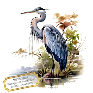 Heron Bird PNG Clipart Bundle- Digital Download