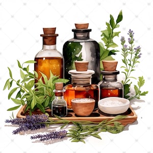 Essential Oils With Herbs Clipart Bundle 10 High Quality Watercolor ...