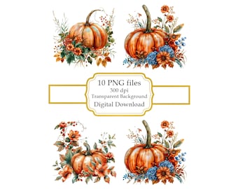 Floral citrouille PNG Clipart Bundle - téléchargement numérique