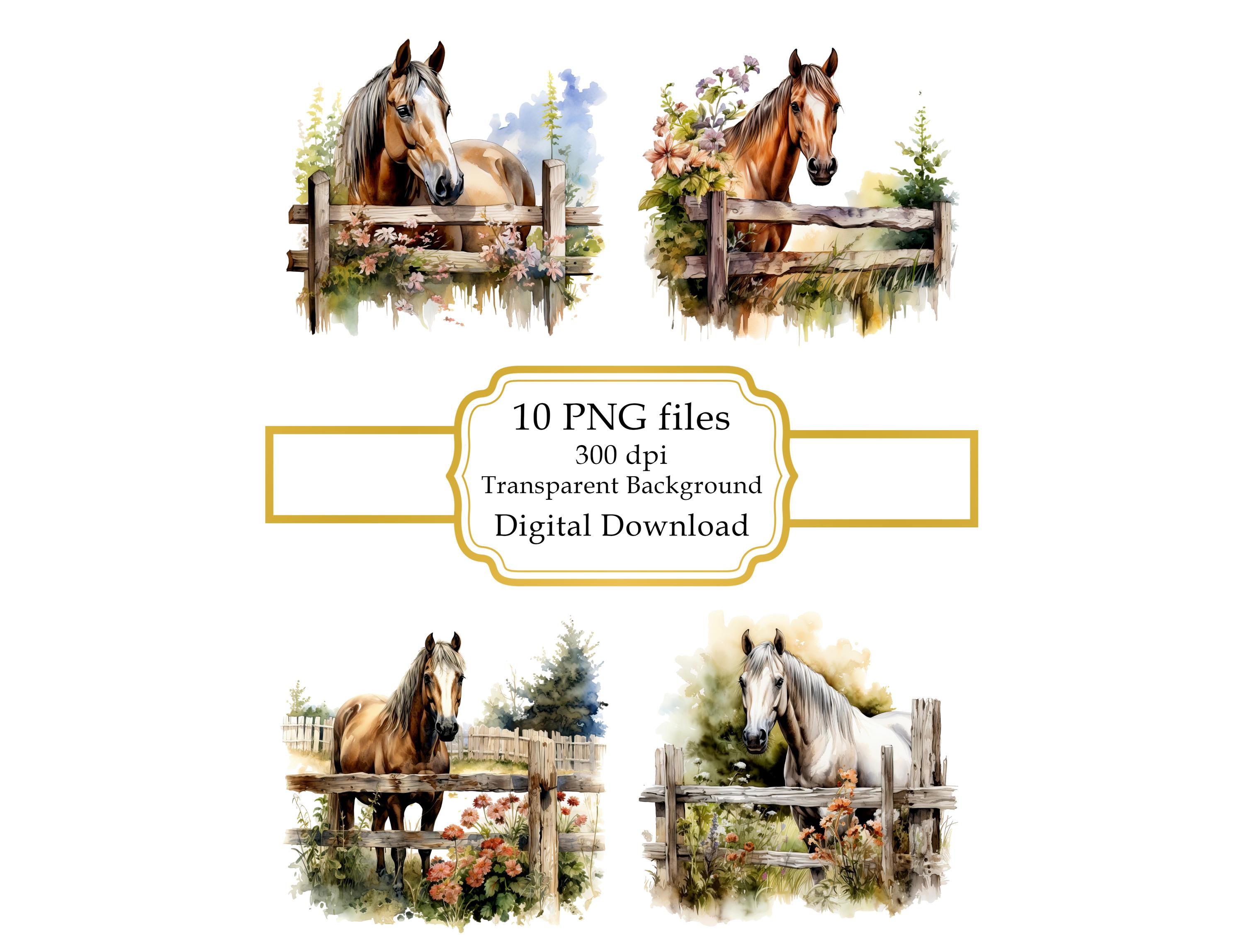 古い木の柵越しに見上げる馬のPNGクリップアート集 - デジタル