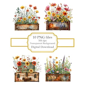 Spring Flowers in Rustic Rusty Box PNG Clipart Bundle- Digital Download