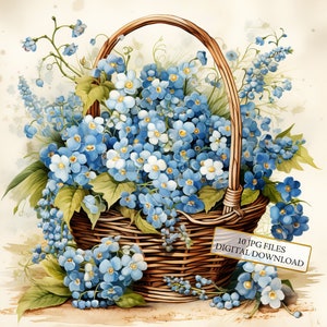 Bundle de cliparts shabby Chic fleurs myosotis - 10 JPG aquarelles de haute qualité - créations artistiques, journalisation, album, téléchargement numérique