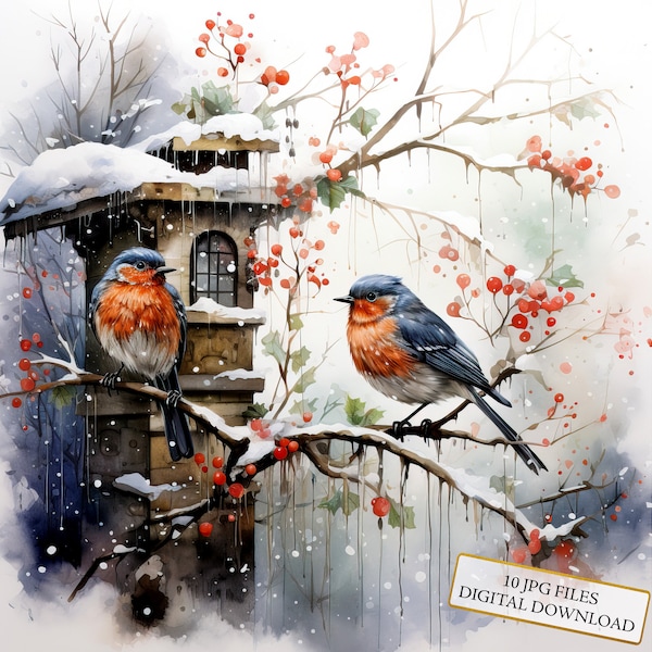 Birds Cozied Up During Snowstorm Clipart Bundle- 10 High Quality Watercolor JPGs- Winter Scenery, Journaling, Scrapbook, Digital Download