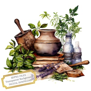 Witch&#39;s Potions, Mortar and Pestle with Herbs PNG Clipart Bundle- Digital Download