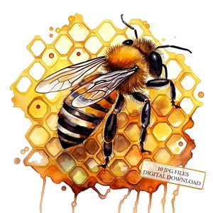 Honey Bee clipart bundel-10 hoge kwaliteit aquarel jpgs-crafting, journaling, scrapbook levering, digitale download