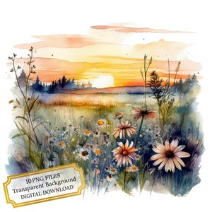 Wildflower Field PNG Clipart Bundle- Digital Download
