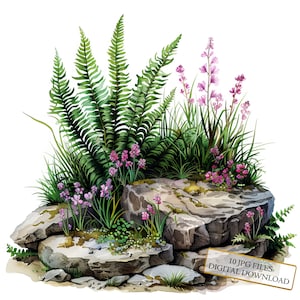 Fougère qui pousse hors des rochers Clipart Bundle - 10 JPG aquarelles de haute qualité - Art de la nature, journalisation, fourniture de scrapbooking, téléchargement numérique