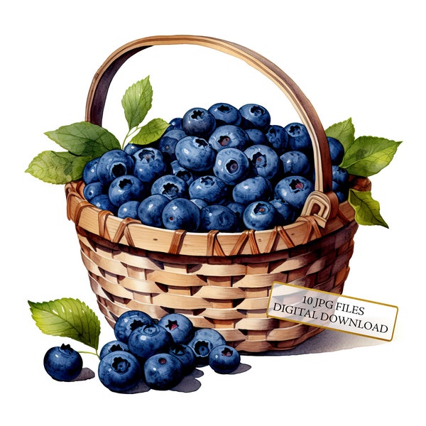 Blueberry Basket Clipart Bundle- 10 High Quality Watercolor JPGs- Food Art, Journaling, Scrapbook Supply, Digital Download