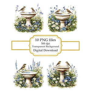 Birds on a Birdbath in Floral Garden PNG Clipart Bundle- Digital Download