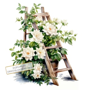 Pacchetto di clipart con scaletta in legno e rose bianche - 10 JPG acquerellati di alta qualità - Artigianato, diario di spazzatura, album di ritagli, download digitale