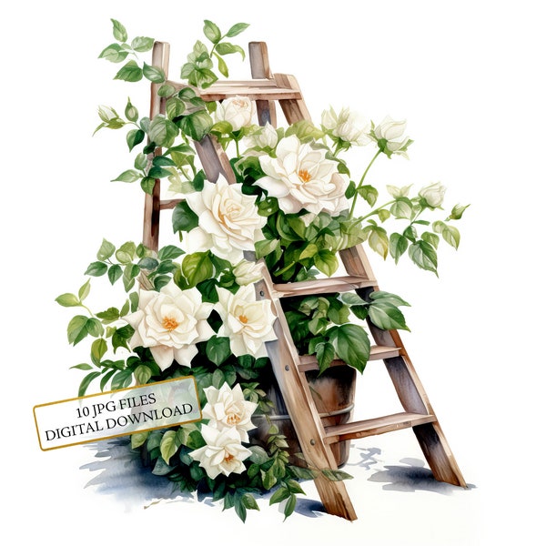 Wooden Step Ladder with White Roses Clipart Bundle- 10 High Quality Watercolor JPGs- Crafting, Junk Journaling, Scrapbook, Digital Download