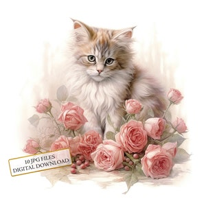 Vintage kitten met roze rozen clipartbundel-10 hoge kwaliteit aquarel JPGs-Craft, journaling, scrapbookingateliers, digitale download